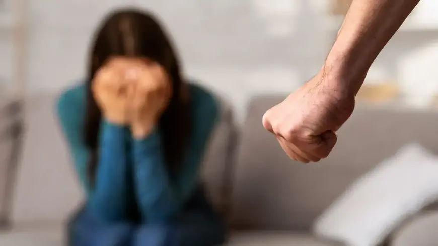 Violencia de género y Violencia dómestica